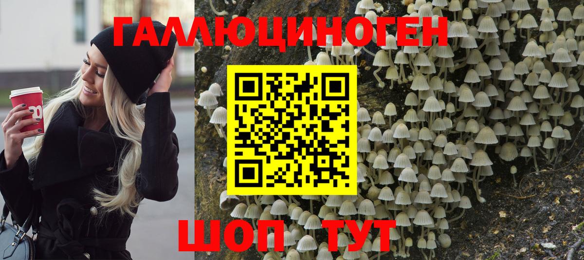 Псилоцибиновые грибы GOLDEN TEACHER Кинель