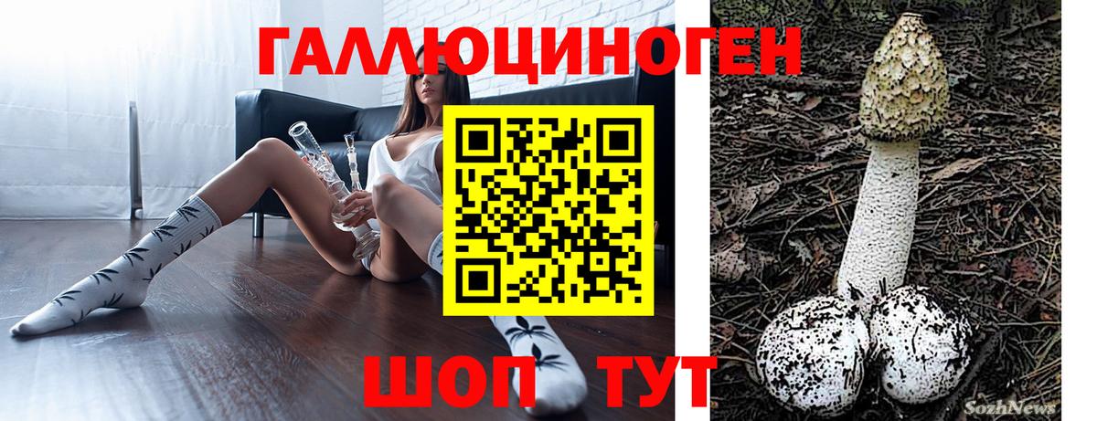 Галлюциногенные грибы прущие грибы  Вход с VPN  купить  сайты  Кинель 