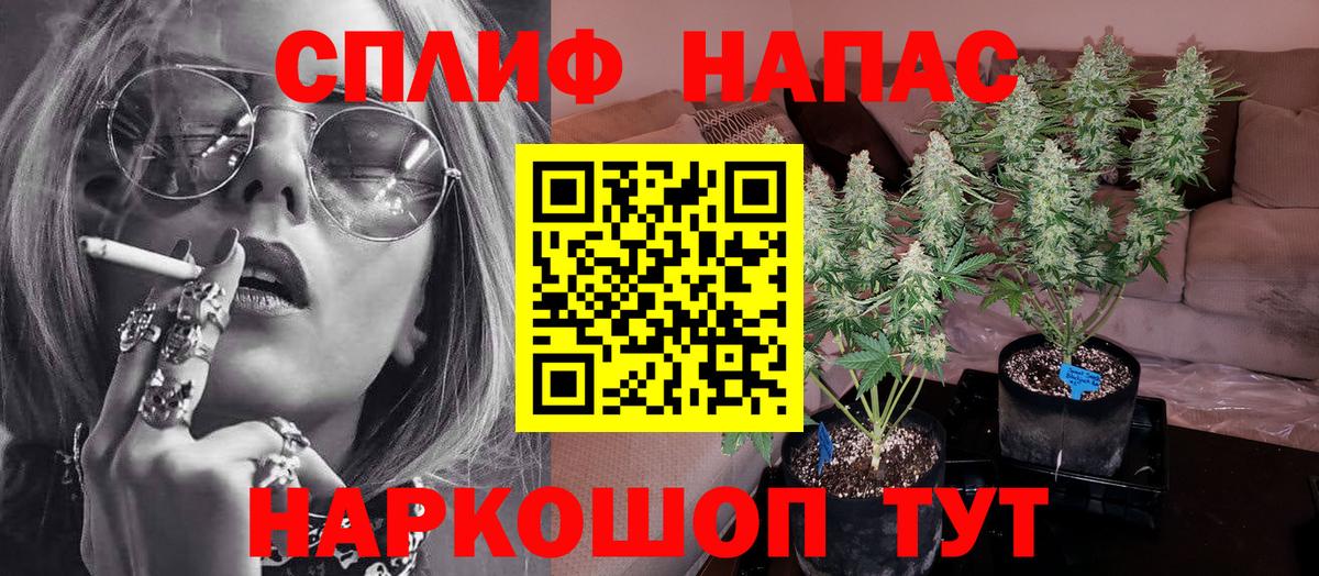 Кинель  Марихуана план  Вход с VPN  Шишки марихуана сатива  Каннабис Ganja 